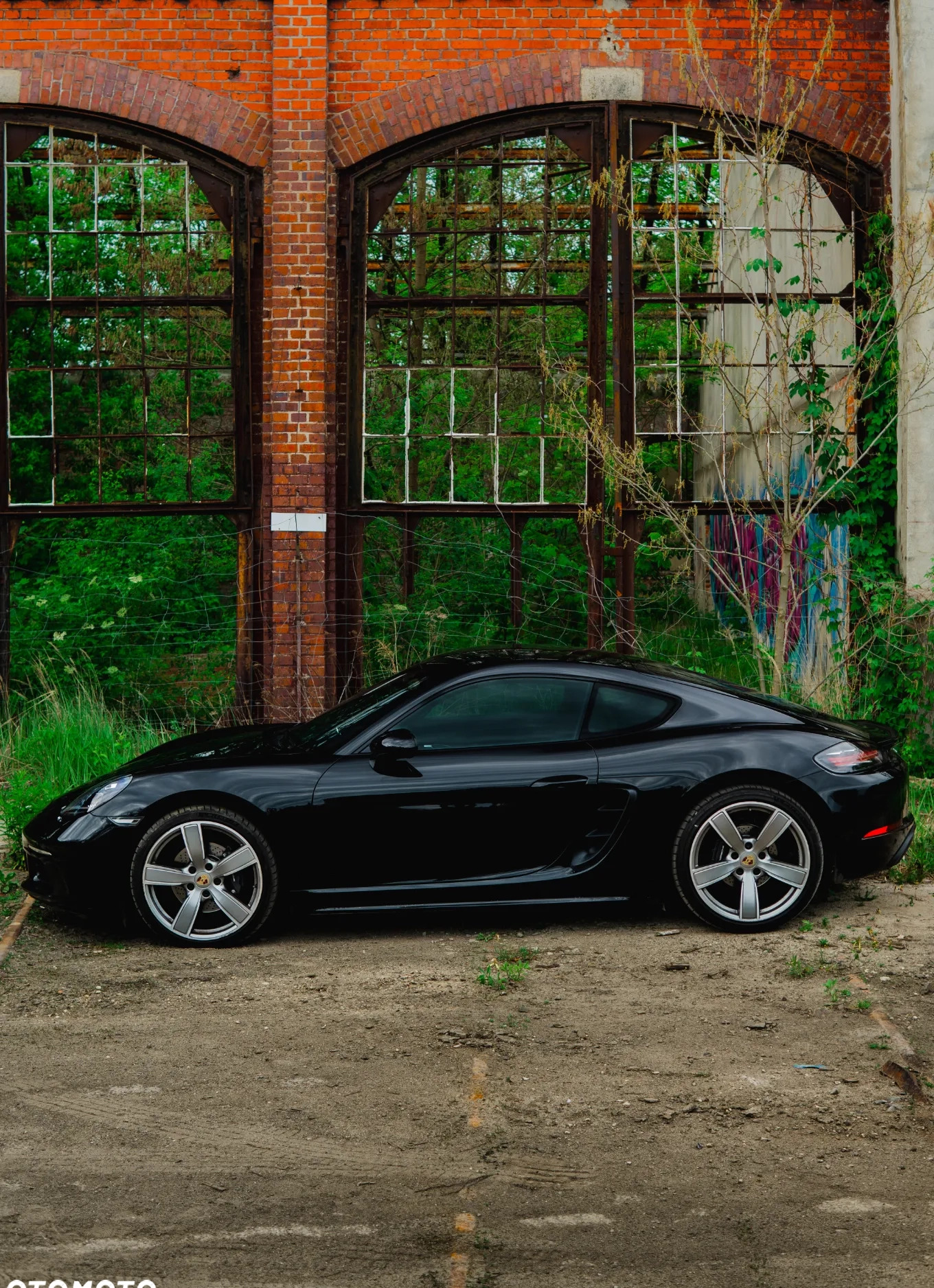 Porsche 718 Cayman cena 235000 przebieg: 61000, rok produkcji 2019 z Żary małe 11